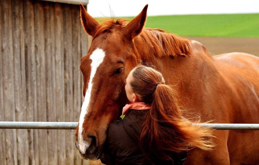 Liefde voor dieren