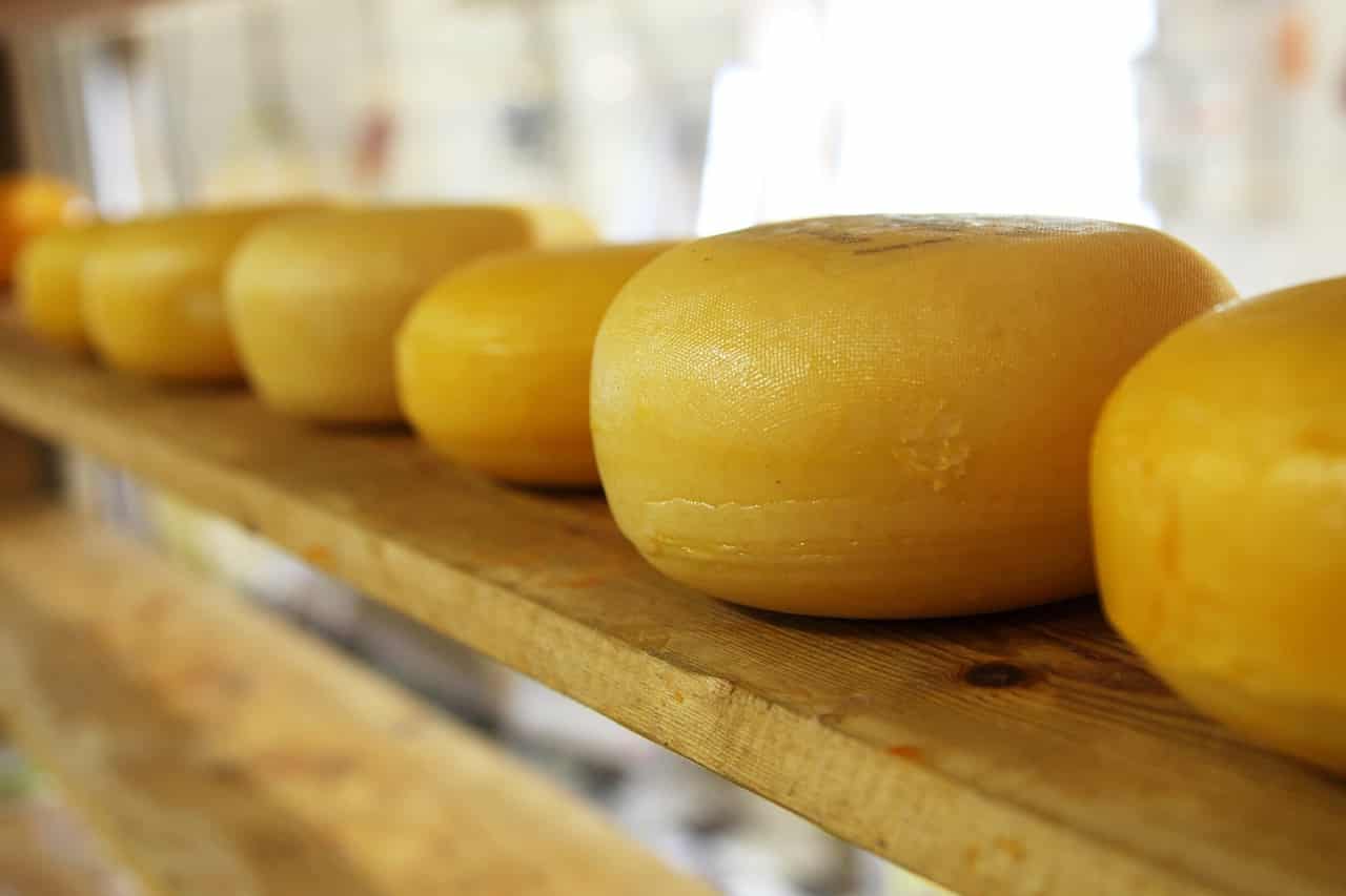 boeken over zelf maken kaas