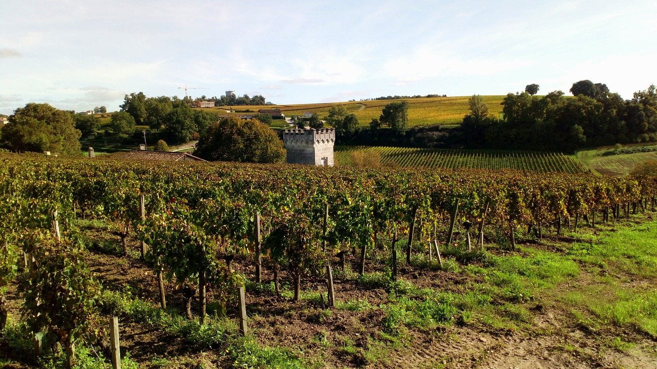 Boeken over wijn uit de Bordeaux streek: dit zijn de 9 beste!