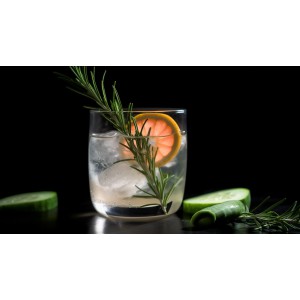 Gin en tonic party organiseren, zo doe je dat! image