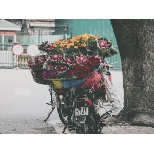 De beste bloemen tips voor jouw feest bloemen tips bezorgen