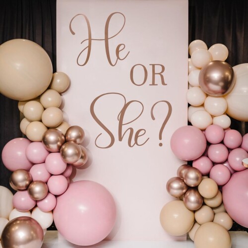 He Or She - Gender Reveal Decoraties - Stickers - Ballonnenboog - Baby Shower - Gender Onthulling Party Decoraties